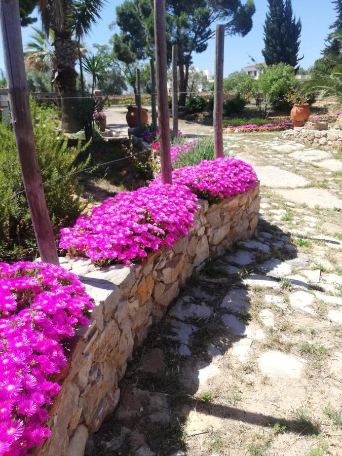 Monte Viana Villa Fuzeta Ngoại thất bức ảnh